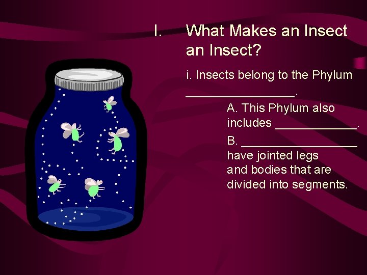 I. What Makes an Insect? i. Insects belong to the Phylum ________. A. This