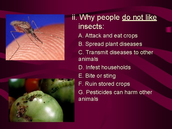 ii. Why people do not like insects: A. Attack and eat crops B. Spread