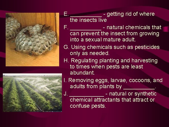 E. _____ - getting rid of where the insects live F. _____ - natural