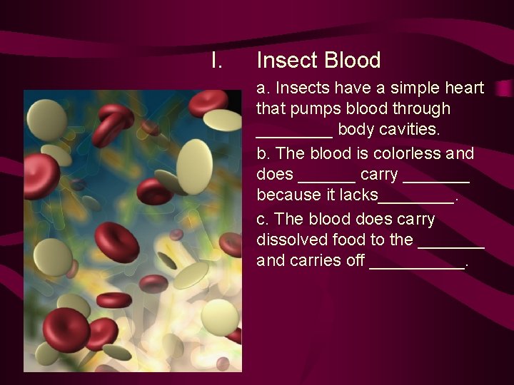 I. Insect Blood a. Insects have a simple heart that pumps blood through ____