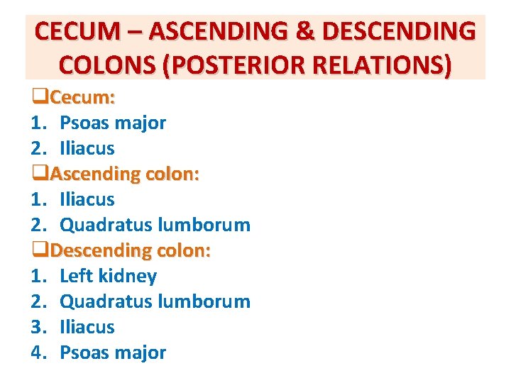 CECUM – ASCENDING & DESCENDING COLONS (POSTERIOR RELATIONS) q. Cecum: 1. Psoas major 2.