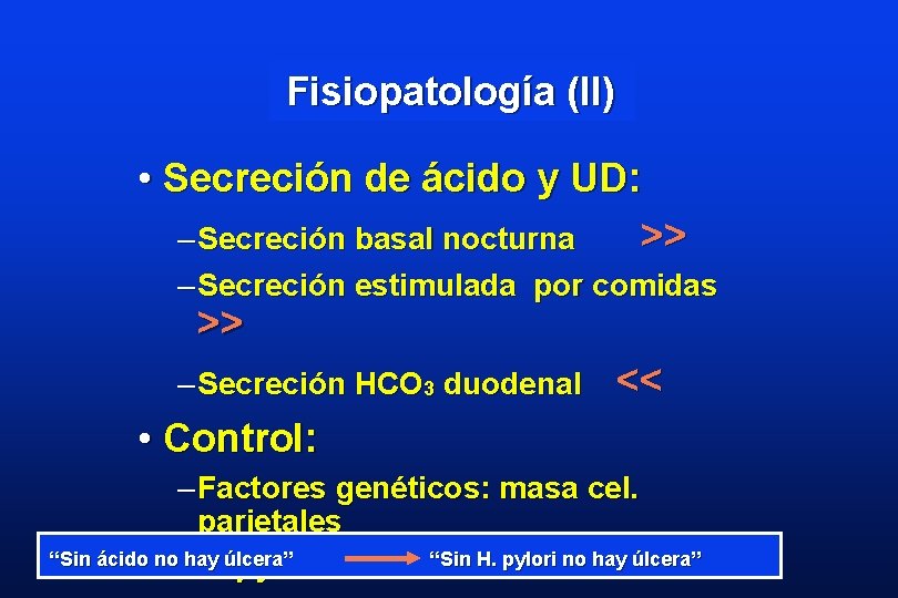 Fisiopatología (II) • Secreción de ácido y UD: – Secreción basal nocturna >> –