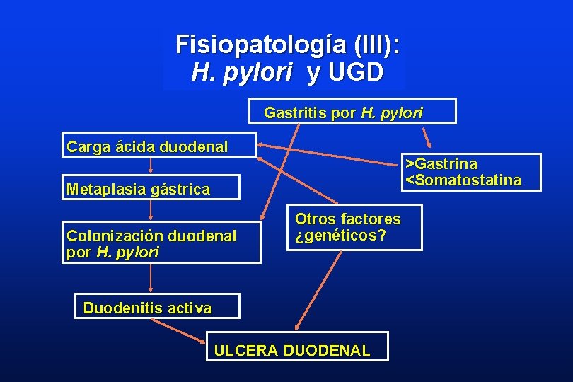Fisiopatología (III): H. pylori y UGD Gastritis por H. pylori Carga ácida duodenal >Gastrina