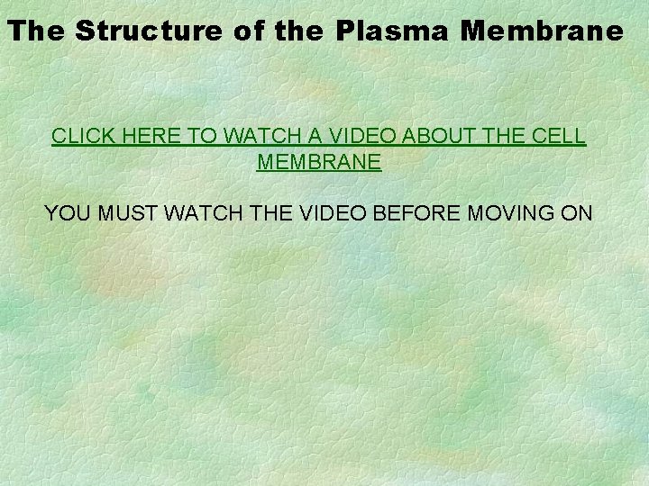 The Structure of the Plasma Membrane CLICK HERE TO WATCH A VIDEO ABOUT THE