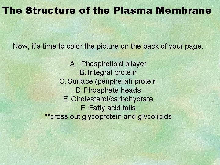 The Structure of the Plasma Membrane Now, it’s time to color the picture on