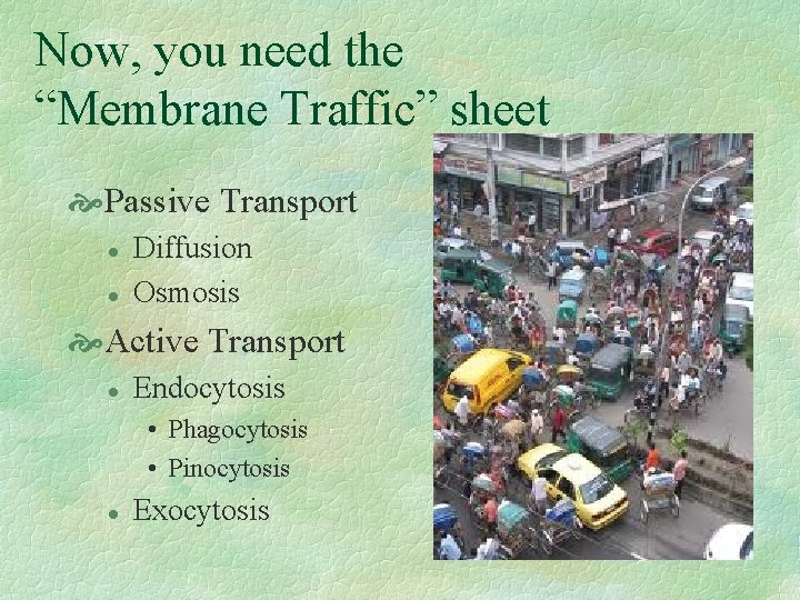 Now, you need the “Membrane Traffic” sheet Passive Transport l l Diffusion Osmosis Active