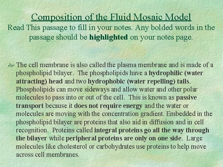 Composition of the Fluid Mosaic Model Read This passage to fill in your notes.
