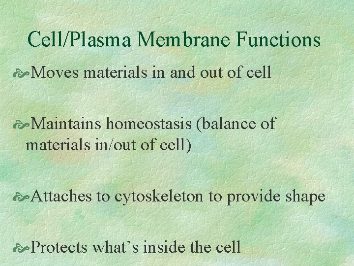 Cell/Plasma Membrane Functions Moves materials in and out of cell Maintains homeostasis (balance of