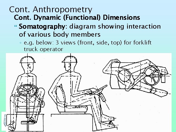 Cont. Anthropometry Cont. Dynamic (Functional) Dimensions Somatography: diagram showing interaction of various body members