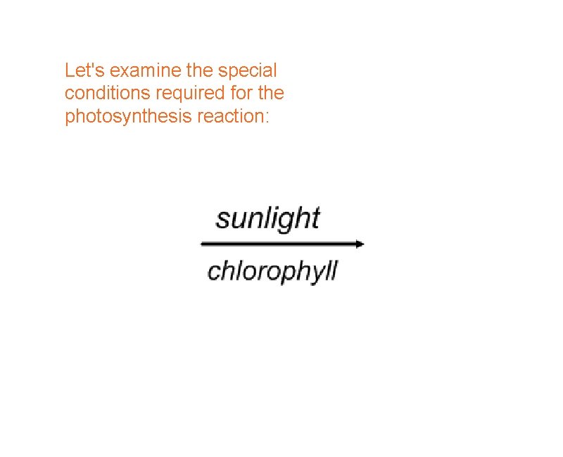 Let's examine the special conditions required for the photosynthesis reaction: 