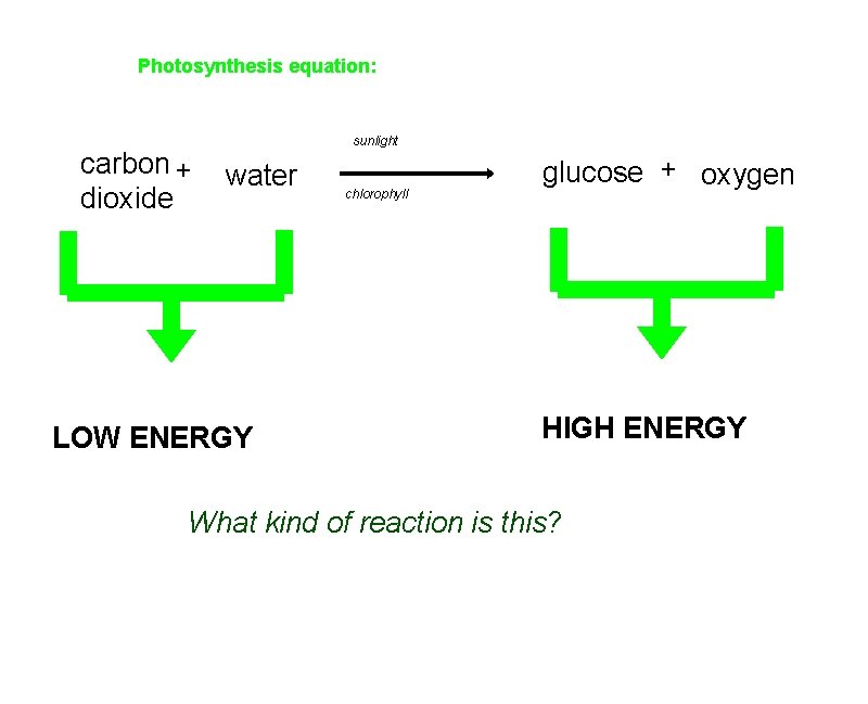 Photosynthesis equation: carbon + dioxide sunlight water LOW ENERGY chlorophyll glucose + oxygen +