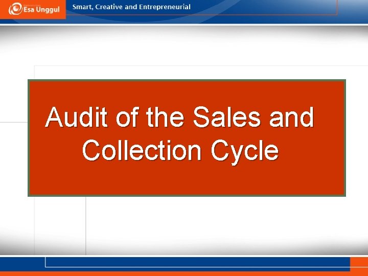 Audit of the Sales and Collection Cycle 