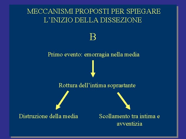 MECCANISMI PROPOSTI PER SPIEGARE L’INIZIO DELLA DISSEZIONE B Primo evento: emorragia nella media Rottura MECCANISMI PROPOSTI PER SPIEGARE L’INIZIO DELLA DISSEZIONE B Primo evento: emorragia nella media Rottura