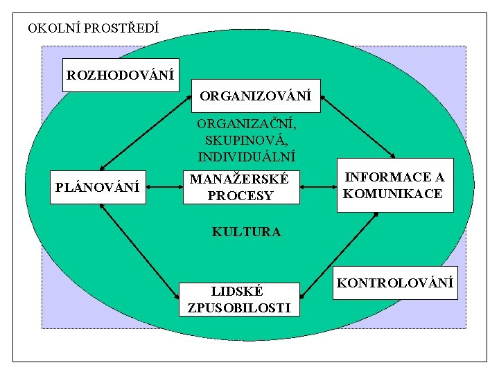 OKOLNÍ PROSTŘEDÍ ROZHODOVÁNÍ ORGANIZAČNÍ, SKUPINOVÁ, INDIVIDUÁLNÍ PLÁNOVÁNÍ MANAŽERSKÉ PROCESY INFORMACE A KOMUNIKACE KULTURA LIDSKÉ