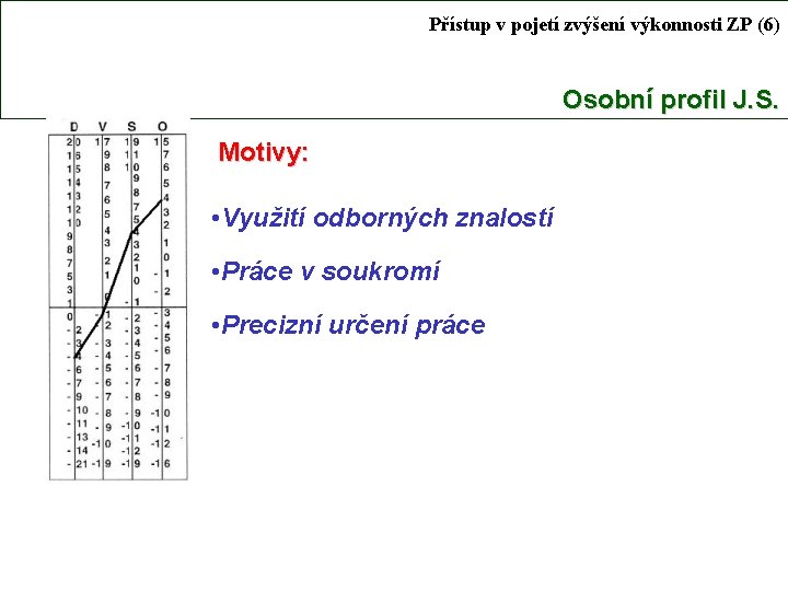 Přístup v pojetí zvýšení výkonnosti ZP (6) Osobní profil J. S. Motivy: • Využití