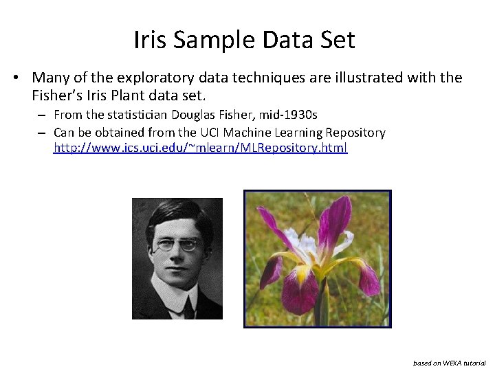 Iris Sample Data Set • Many of the exploratory data techniques are illustrated with
