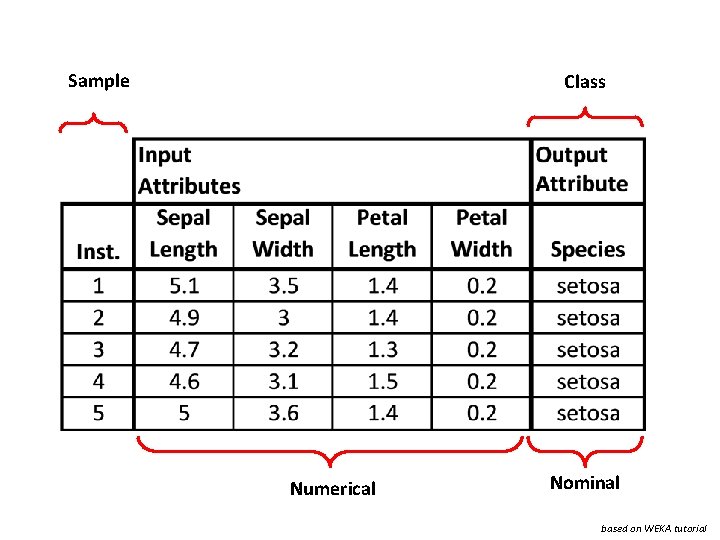 Sample Class Numerical Nominal based on WEKA tutorial 