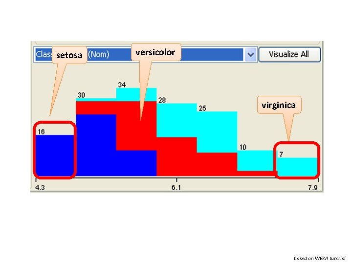 setosa versicolor virginica based on WEKA tutorial 