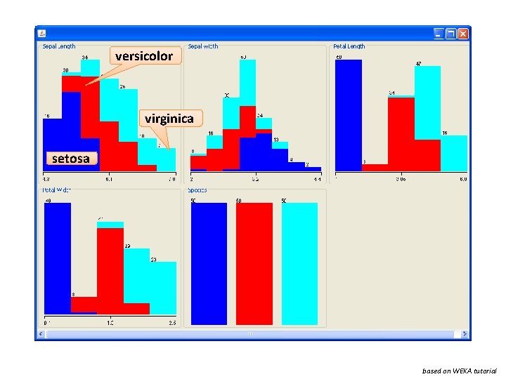 versicolor virginica setosa based on WEKA tutorial 