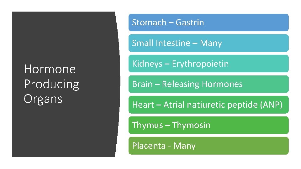 Stomach – Gastrin Small Intestine – Many Hormone Producing Organs Kidneys – Erythropoietin Brain