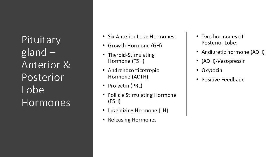 Pituitary gland – Anterior & Posterior Lobe Hormones • Six Anterior Lobe Hormones: •
