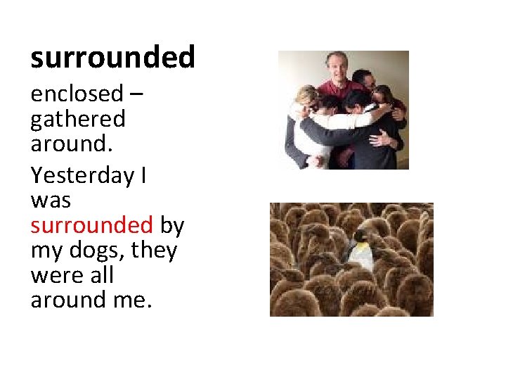surrounded enclosed – gathered around. Yesterday I was surrounded by my dogs, they were surrounded enclosed – gathered around. Yesterday I was surrounded by my dogs, they were