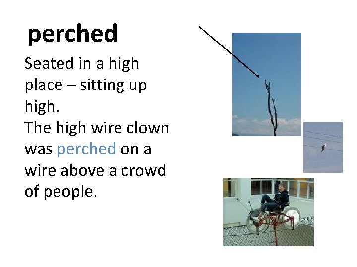 perched Seated in a high place – sitting up high. The high wire clown perched Seated in a high place – sitting up high. The high wire clown