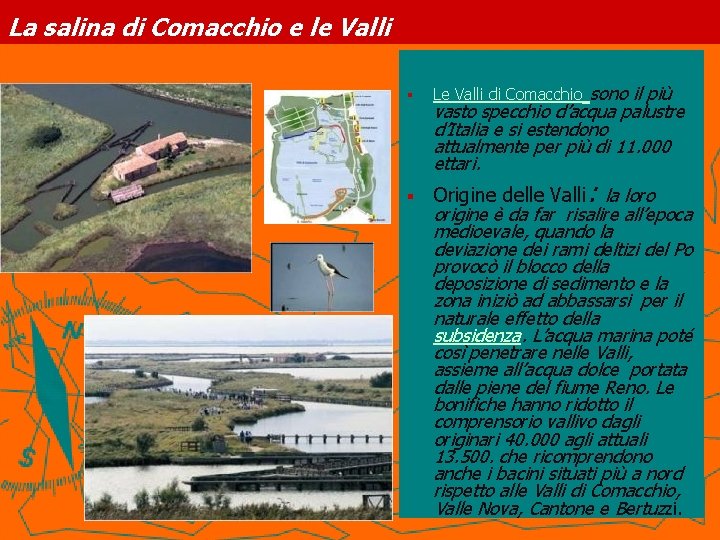 La salina di Comacchio e le Valli § § Le Valli di Comacchio sono