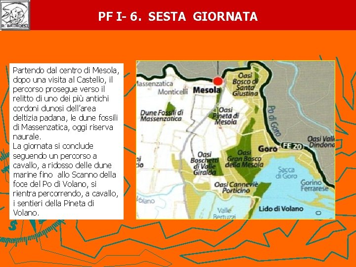 PF I- 6. SESTA GIORNATA Partendo dal centro di Mesola, dopo una visita al