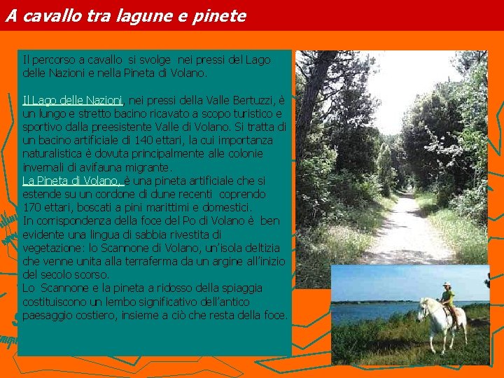 A cavallo tra lagune e pinete Il percorso a cavallo si svolge nei pressi