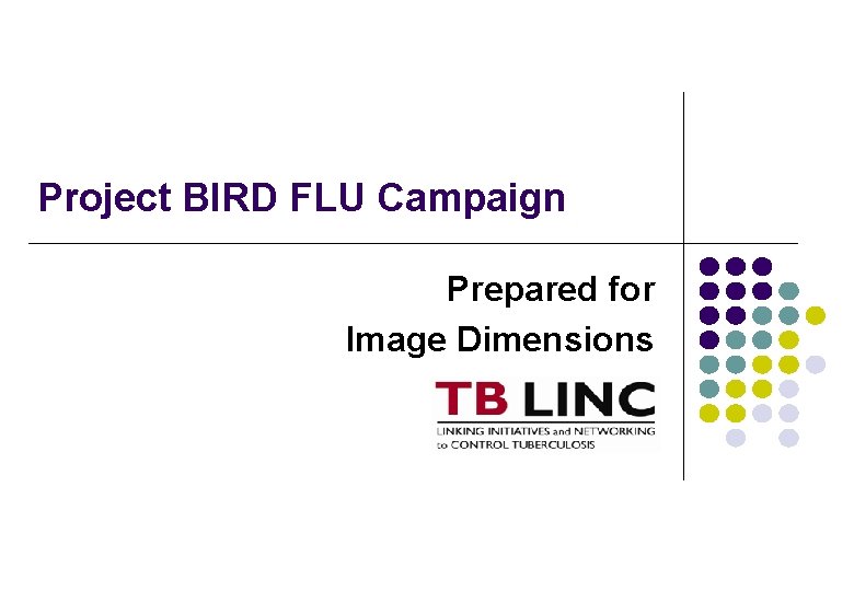 Project BIRD FLU Campaign Prepared for Image Dimensions 