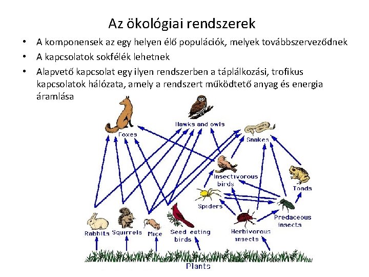 Az ökológiai rendszerek • A komponensek az egy helyen élő populációk, melyek továbbszerveződnek •