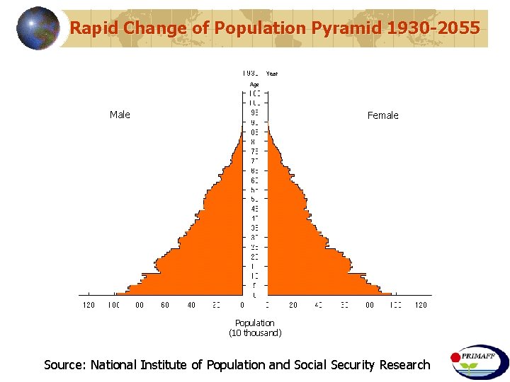 Rapid Change of Population Pyramid 1930 -2055 Year Age Male Female Population (10 thousand)
