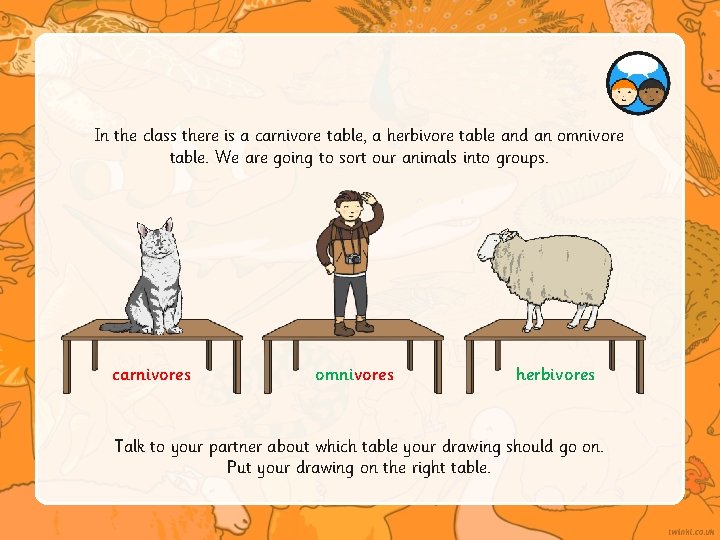 In the class there is a carnivore table, a herbivore table and an omnivore
