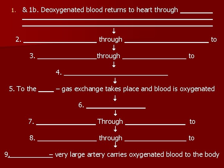 1. & 1 b. Deoxygenated blood returns to heart through 2. through 3. through