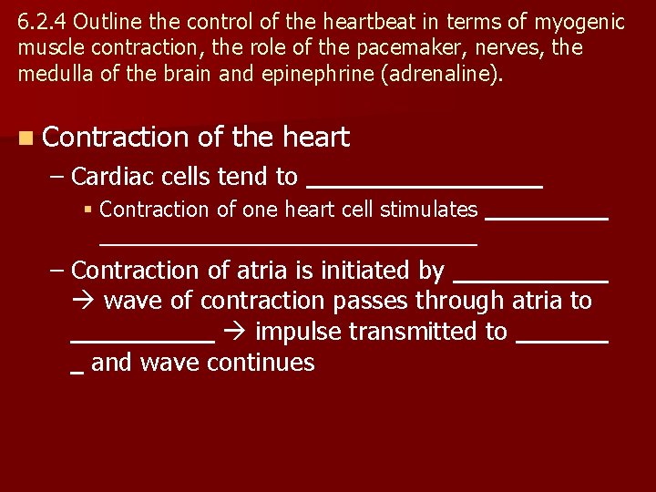 6. 2. 4 Outline the control of the heartbeat in terms of myogenic muscle