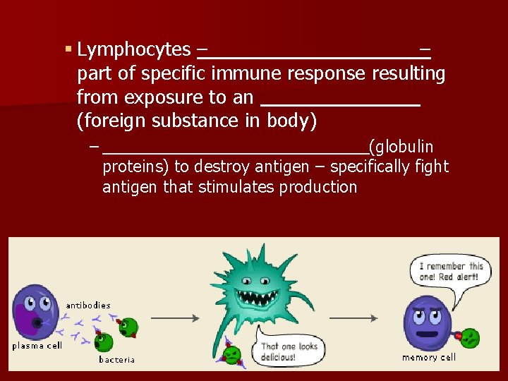 § Lymphocytes – – part of specific immune response resulting from exposure to an