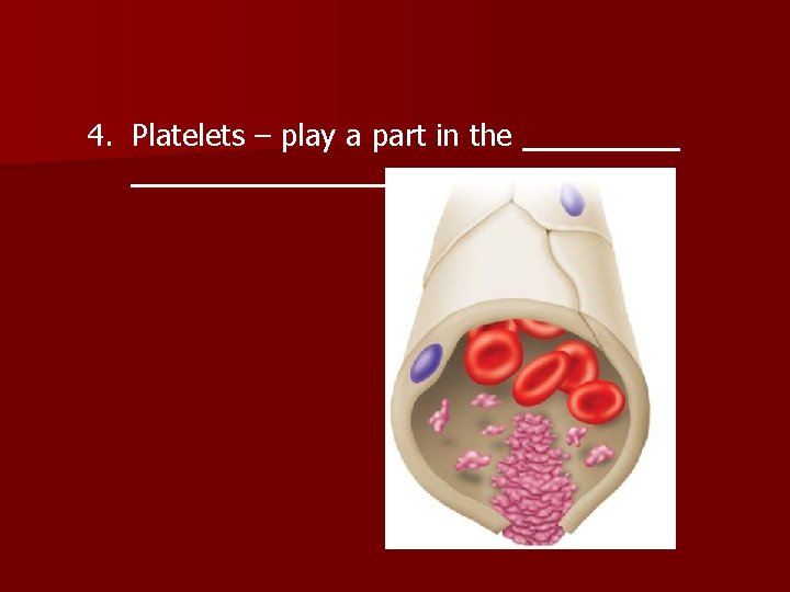 4. Platelets – play a part in the 