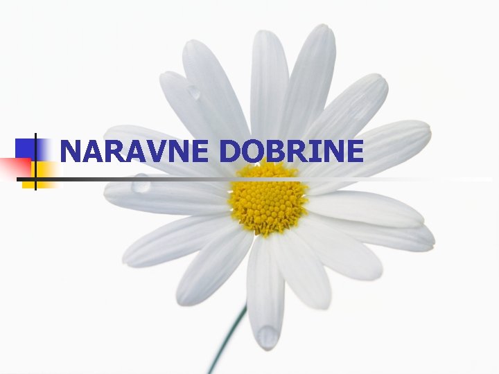 NARAVNE DOBRINE 