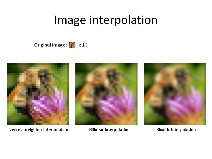 Image interpolation Original image: Nearest-neighbor interpolation x 10 Bilinear interpolation Bicubic interpolation 