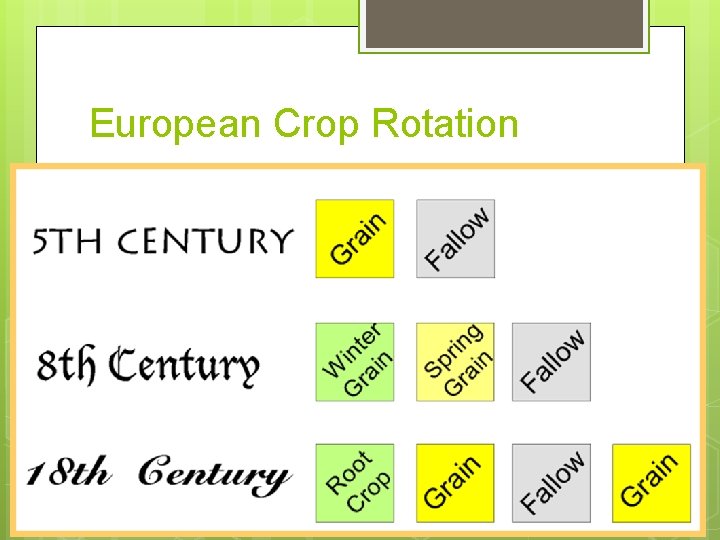 European Crop Rotation 