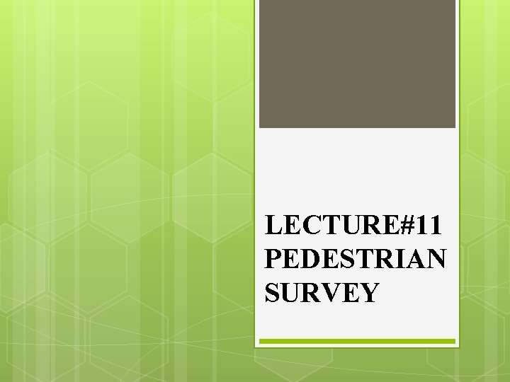 LECTURE#11 PEDESTRIAN SURVEY 