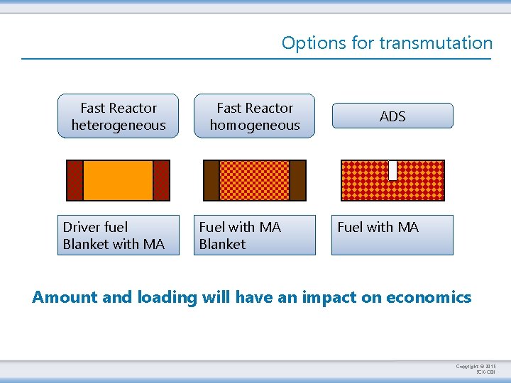Options for transmutation Fast Reactor heterogeneous Driver fuel Blanket with MA Fast Reactor homogeneous