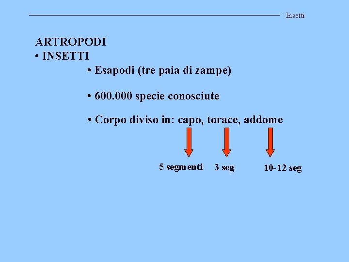 Insetti ARTROPODI • INSETTI • Esapodi (tre paia di zampe) • 600. 000 specie