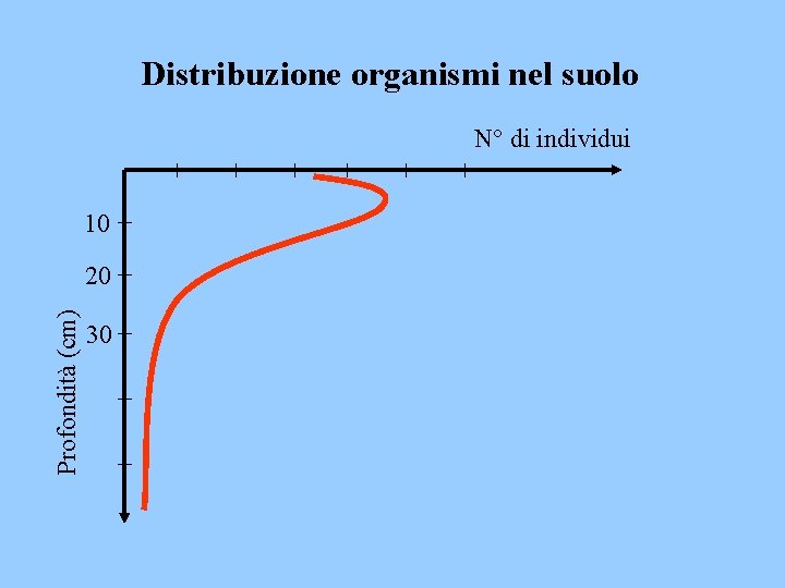 Distribuzione organismi nel suolo N° di individui 10 Profondità (cm) 20 30 
