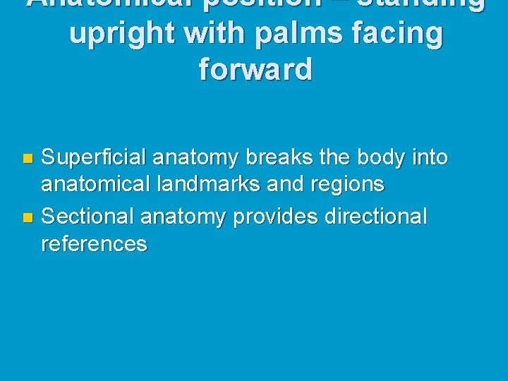 Anatomical position – standing upright with palms facing forward Superficial anatomy breaks the body Anatomical position – standing upright with palms facing forward Superficial anatomy breaks the body