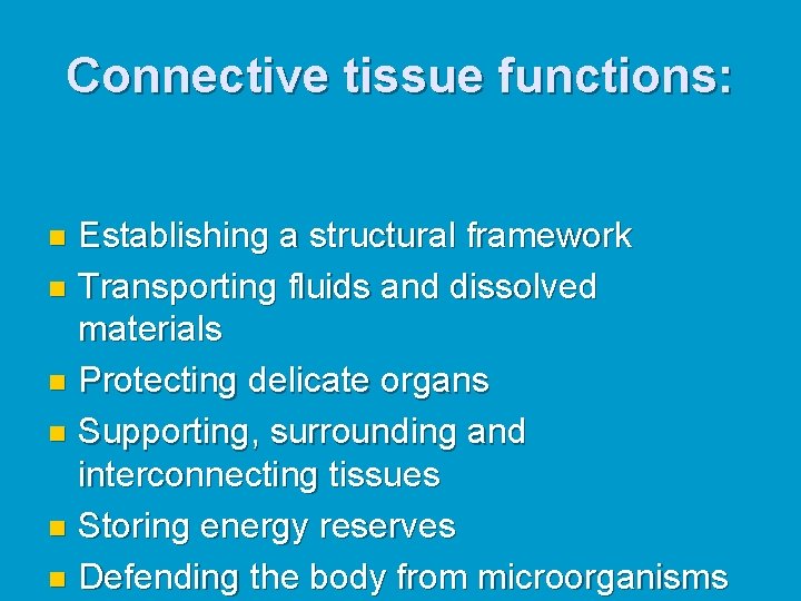 Connective tissue functions: Establishing a structural framework n Transporting fluids and dissolved materials n Connective tissue functions: Establishing a structural framework n Transporting fluids and dissolved materials n