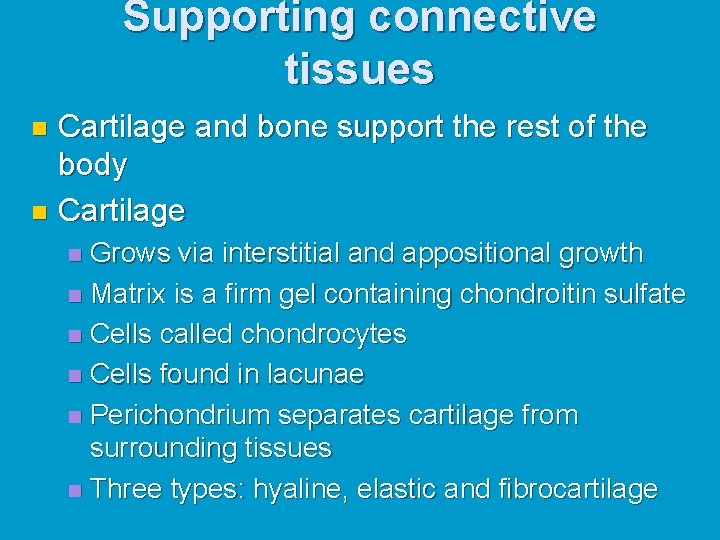 Supporting connective tissues Cartilage and bone support the rest of the body n Cartilage Supporting connective tissues Cartilage and bone support the rest of the body n Cartilage