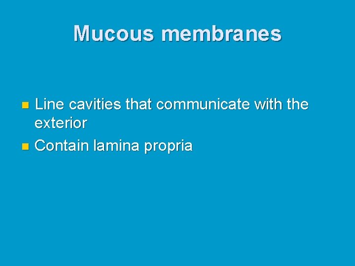 Mucous membranes Line cavities that communicate with the exterior n Contain lamina propria n Mucous membranes Line cavities that communicate with the exterior n Contain lamina propria n