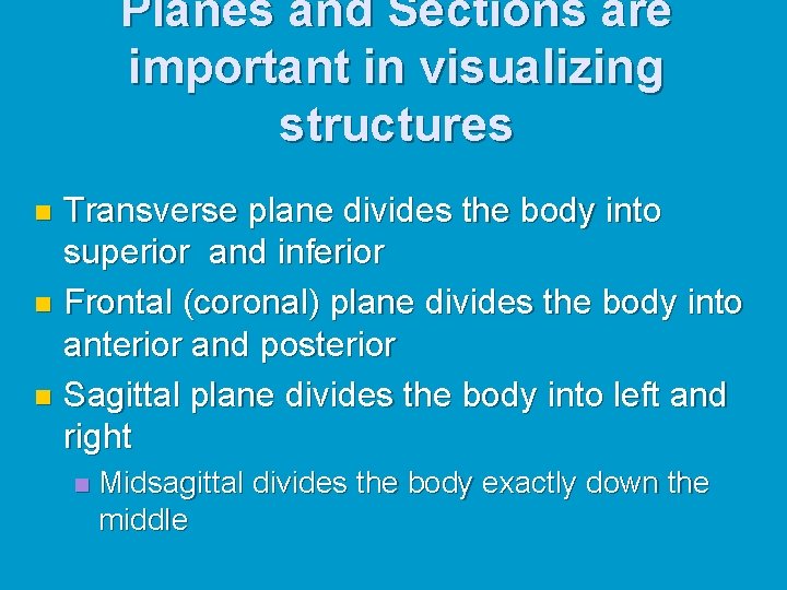 Planes and Sections are important in visualizing structures Transverse plane divides the body into Planes and Sections are important in visualizing structures Transverse plane divides the body into